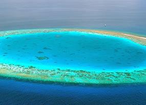 How coral atolls get their gorgeous ring shapes