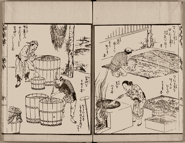 Soy sauce illustrated Two-page drawing shows people making soy sauce: kneeling over a mat covered in material, stirring ingredients over a fire, mixing liquid in a barrel and ladling liquid into a container.