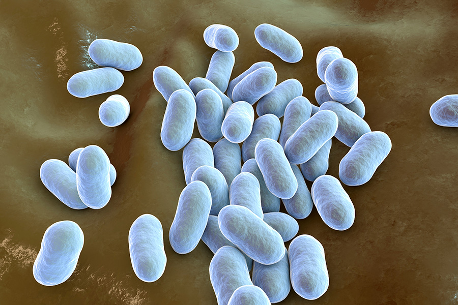 Prevotella bacteria 3-D illustration of rod-like bacteria, colored blue.