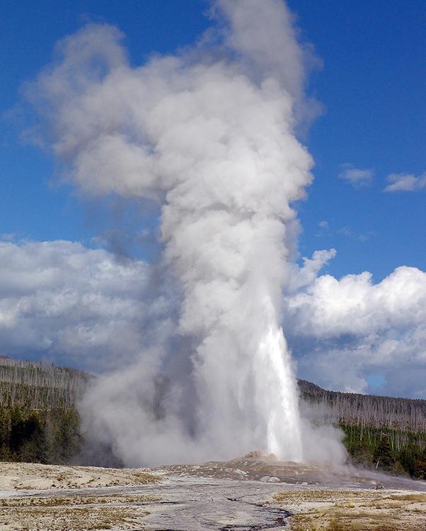 Old Faithful Old Faithful geyser in Yellowstone National Park