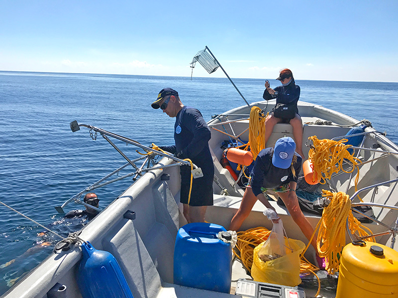 GlobalFinPrint Out in the ocean, three people are aboard a boat and another person is in the water. On the boat, there are blue and yellow containers, as well as cables and other materials.