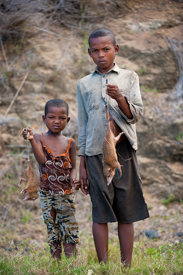 Tenrecs Photograph of two boys standing in the grass, with rocks and dirt behind them. Each is holding a brown, long-snouted dead mammal attached to a piece of twine.