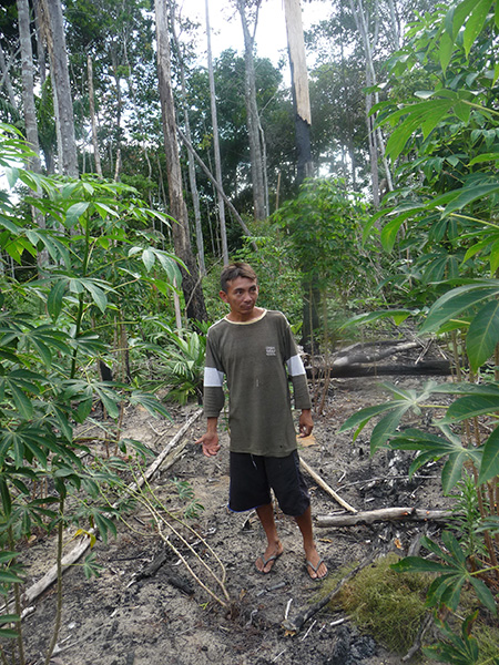 Forest farmer Photograph of a man in shorts and sweatshirt standing among trees.