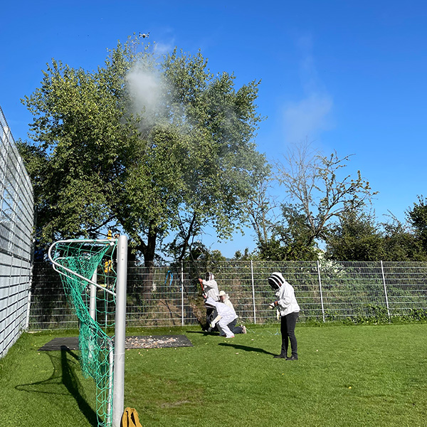 Nest busters A photo shows four people dressed in bee protective gear on a grass field. A soccer goal is to one side. One person places a long pole up to a large tree that hangs over the field. A small drone hovers above the tree.
