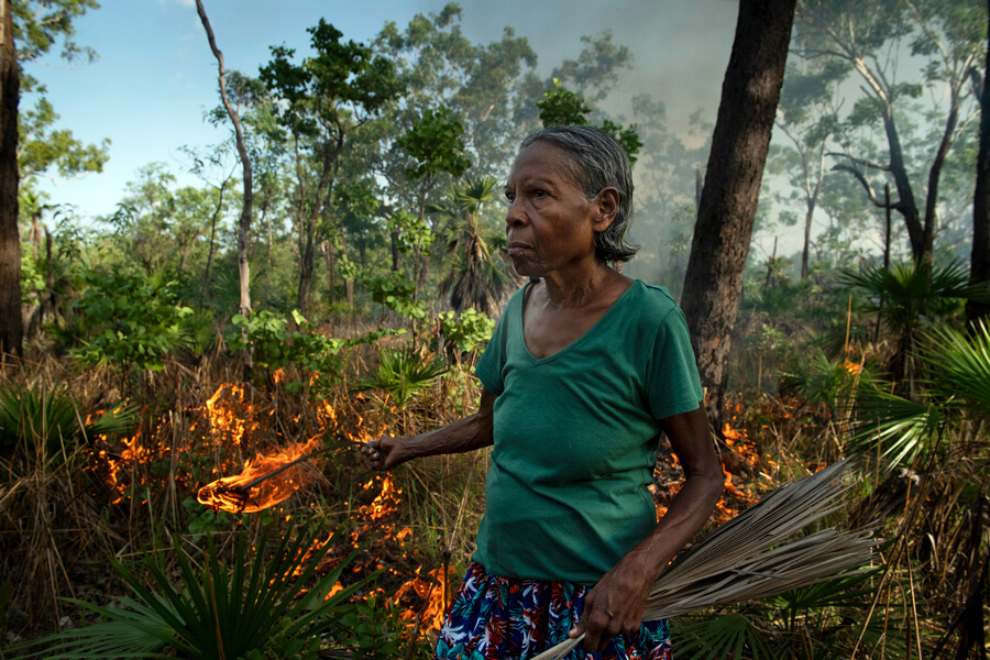 Controlled burn in Australia Photograph of a woman setting fire to forest undergrowth using ignited palm fronds. Lush vegetation is seen in the background.
