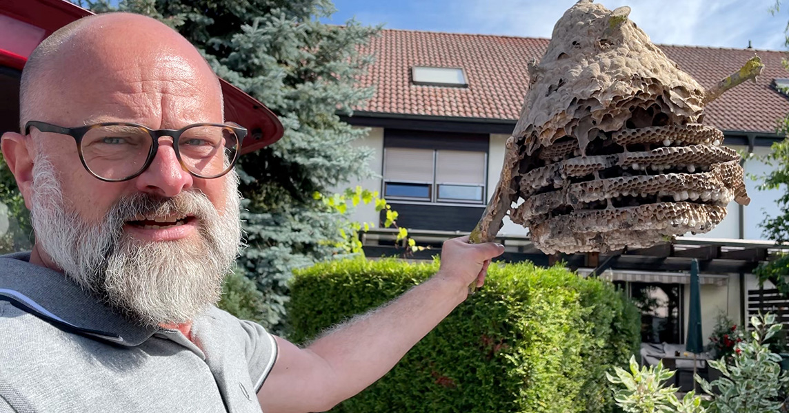 Reiner Jahn A photo shows a man with glasses and a white beard holding up a large portion of a broken wasp nest, still attached to a branch. The nest interior shows a large honeycomb pattern of individual wasp cells, arranged in layers.
