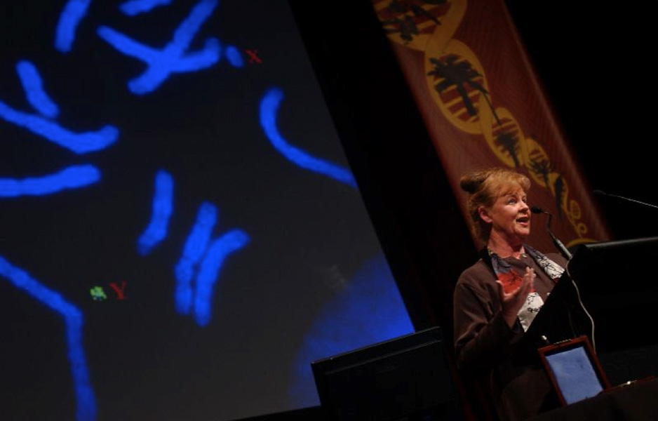 Jenny Graves lecturing Photo of Graves standing in front of a lectern speaking into a mic. A slide of glowing blue chromosomes is projected behind her.