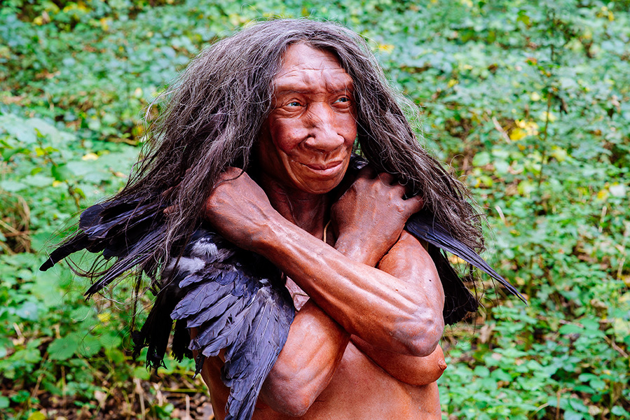 Neanderthal woman Model of a Neanderthal against green shrubbery.