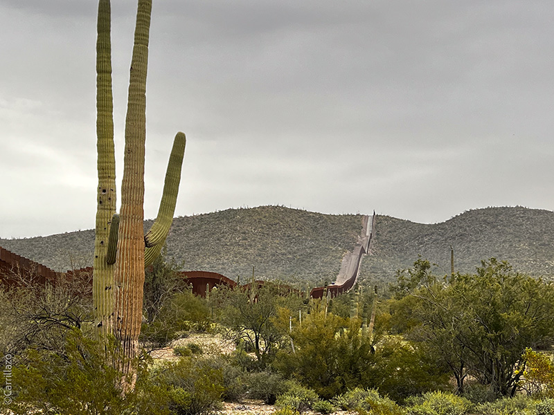 Saguaro Landscape showing an arid land with bushes and a mountain in the background. The land is divided by a brown wall. In the foreground is a huge cactus.