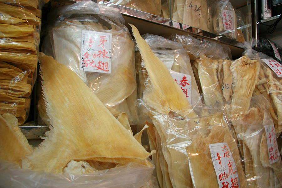 Shark fins Yellow, dried shark fins are displayed inside plastic bags with labels in Chinese.