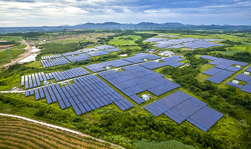 Greener? A rural landscape covered by solar panels.