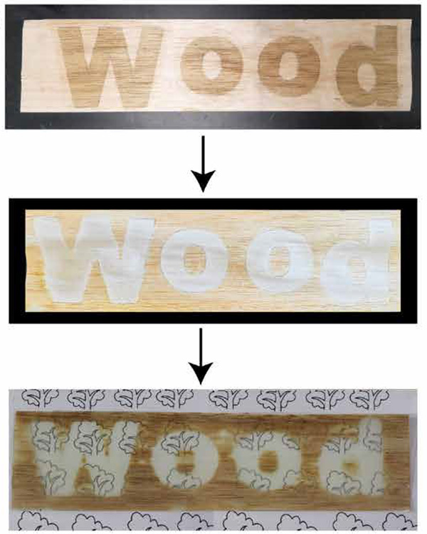 Wood, wood, wood Three panels show the word ‘wood’ written across regular wood, bleached wood and see-through wood