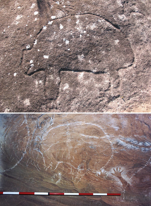 A long relationship Cave art depicts wombats.