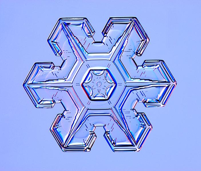 Snowflakes: Stellar plates Snowflakes: Stellar plates
