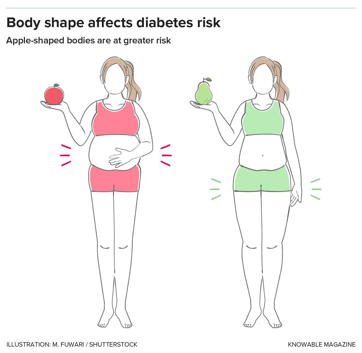 Apples and pears Illustration shows two women, one with abdominal fat and the other with subcutaneous fat.