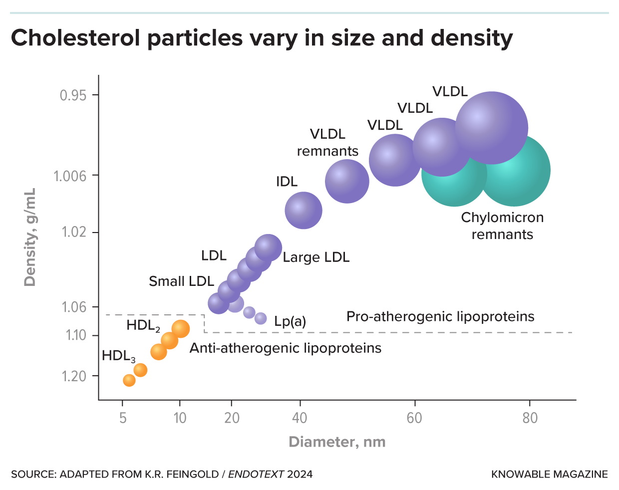 Cholesterol particles vary in size and density A line graph illustrates particles of different sizes and densities, with the larger particles being less dense.