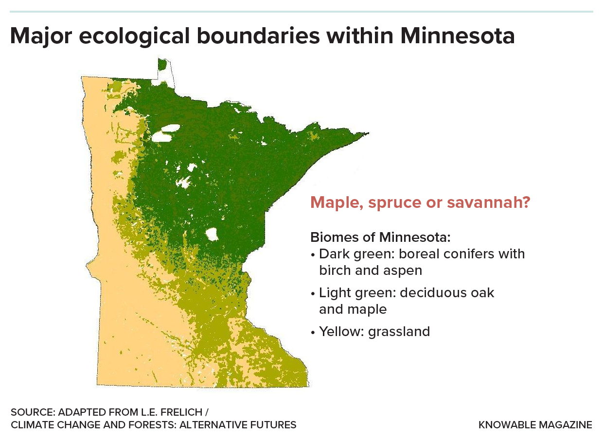 Minnesota biomes A map of Minnesota with major biomes shown.