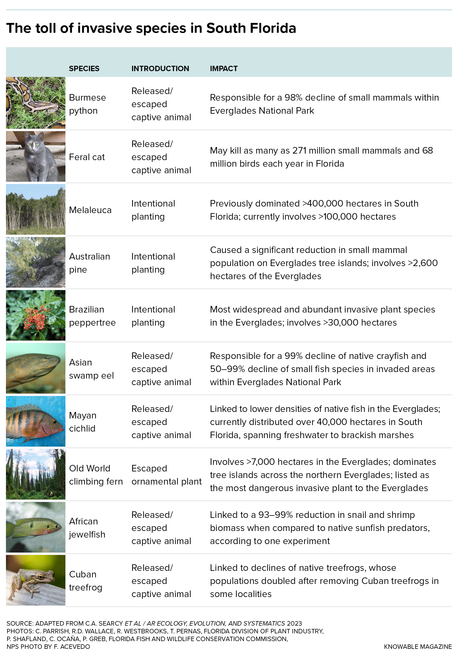 Invasive species in South Florida A table notes some of the most problematic plants and animals now living freely in South Florida, as well as how they were introduced and how much land is affected.
