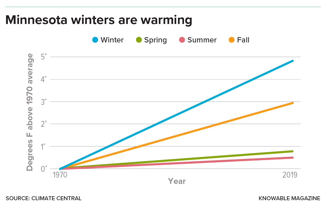 Minnesota winters are warming A graph with four lines depicting winter, spring, summer and fall. The horizontal axis is years from 1970 to 2019. The vertical axis is degrees F above 1970 average. All four lines rise over the decades but the steepest rise by far is seen in the line representing winter.