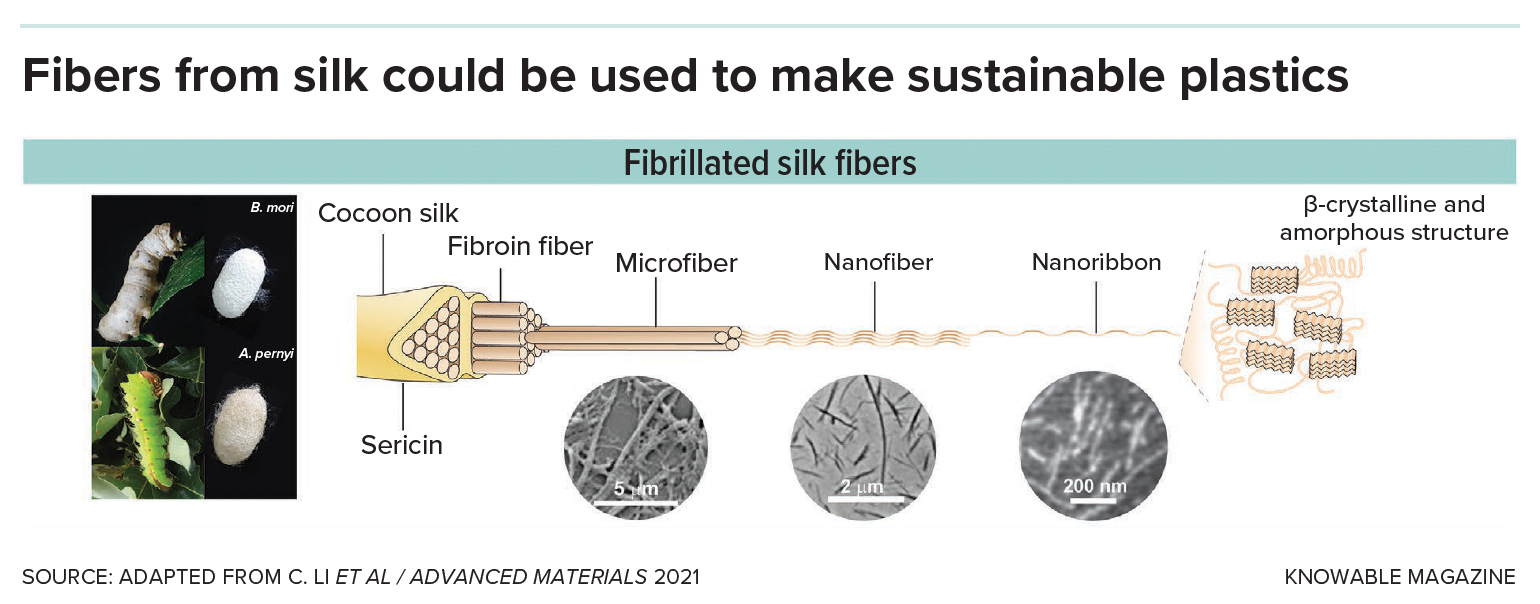 Silk fibers A graphic shows the fine structure of silk fibers.