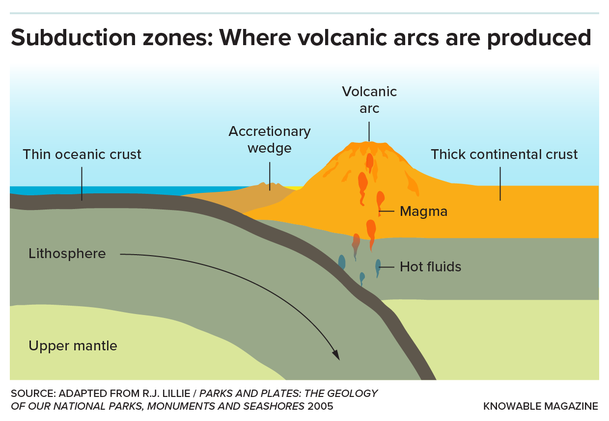 Subduction zones A graphic shows the process of tectonic plate subduction that gives rise to the formation of volcanic arcs.