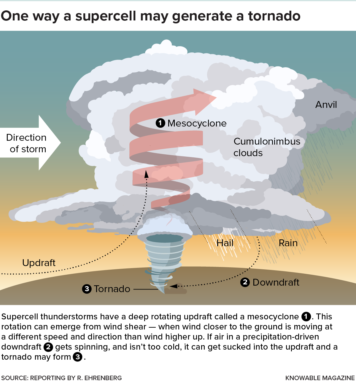 Tornado formation Graphic shows the updraft and downdrafts that contribute to tornado formation.
