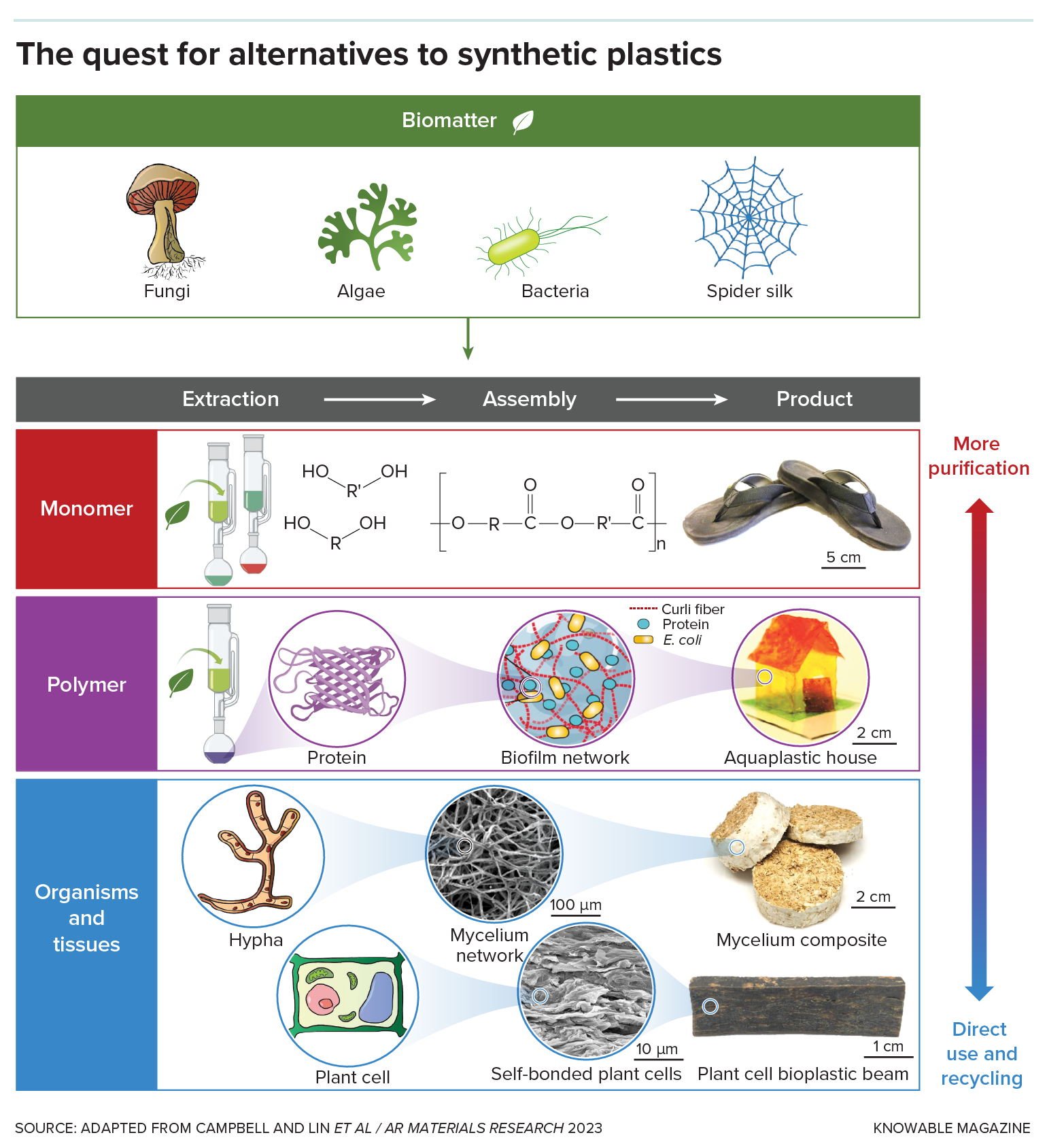 Biopolymer strategies Graphic shows different strategies for creating biopolymers from natural materials.