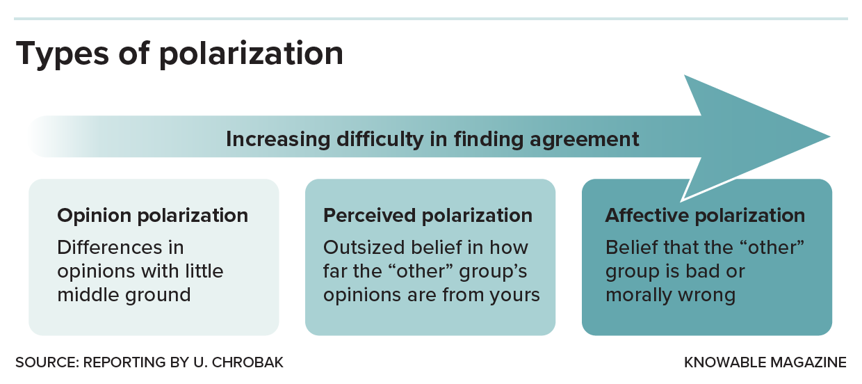Types of polarization Effects of polarization on finding agreement
